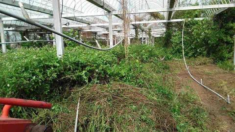 林家環保工程行 - 觀音整地前