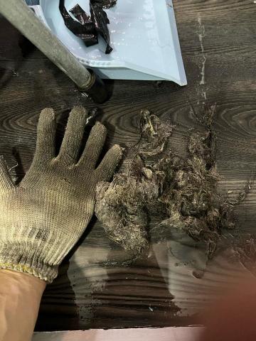 易暢通管行 - 疏通完畢拉上來的毛髮