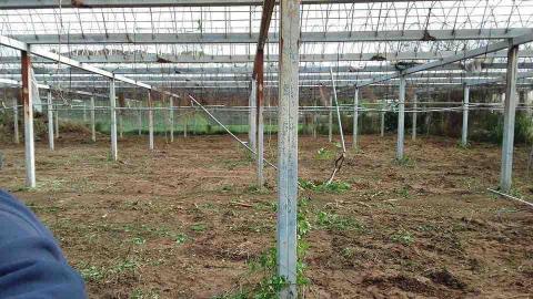 林家環保工程行 - 觀音整地施工中