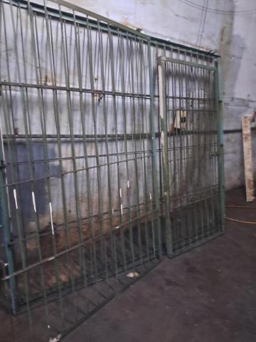 小羊工程 楊嘉豪 羊仔 - 