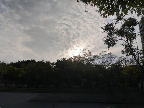 柳丁汁 - 風景照修圖後