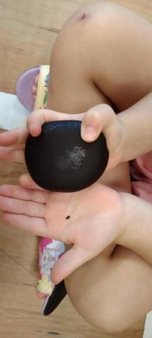 楊琳雅 - 主題教學--種子，觀察比較種子的外觀