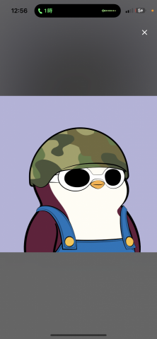 提供高爾夫陪打服務的專家zzh