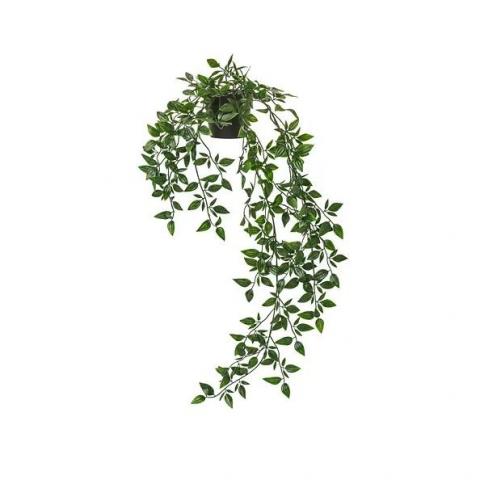 提供電子報繳稅服務的專家饒珮玉