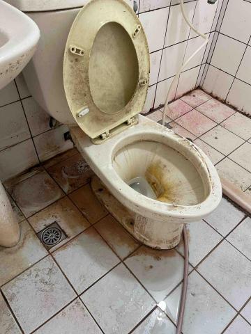 焦燕琴 -  焦燕琴 -