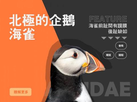 彭郁雯（大鳩） - 