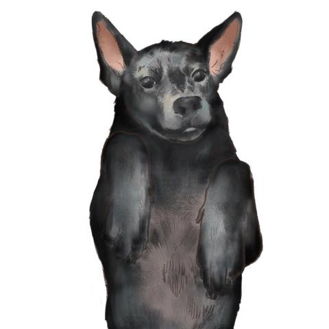 初TSU - 私人約稿(動物電繪)