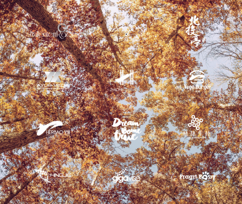 一大木林  l  設計 - 