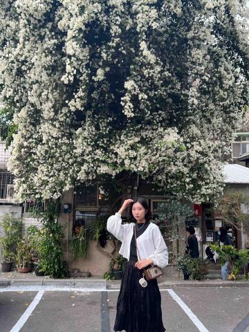 提供ppt時間軸服務的專家Luna