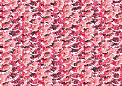 待紐約七年之時尚行銷與零售管理碩士、台灣新聞系學士 - 花紋設計（拍攝至製圖）