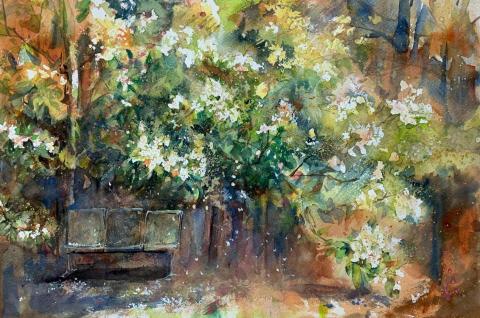 許哲維 - 水彩作品，油桐花惹發