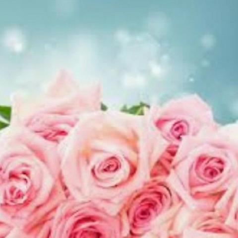 提供配音服務的專家張恩