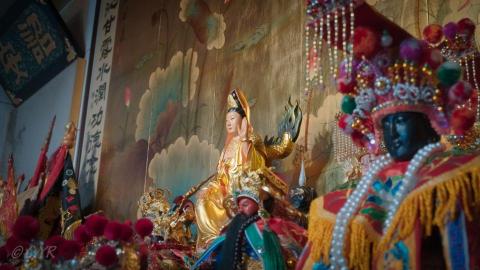 張茵茹 - 照片主題凸顯，重新調色調光，系列照統一色調。藝術照、情境照。