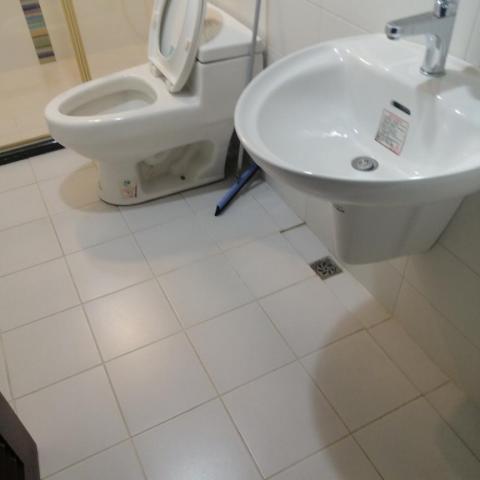 成家清潔公司 - 廁所清潔後