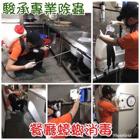 駿誠專業除蟲有限公司 - 餐廳蟑螂消毒