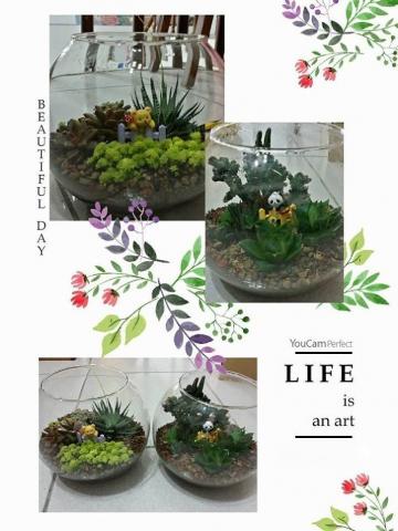 綺Ki工作室 - 多肉植物組盆