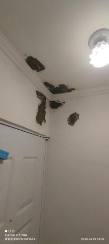 黃建中 - 局部壁癌整治