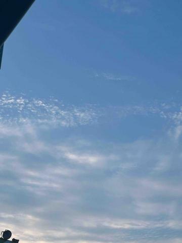 提供寄貨便服務的專家陳義榤