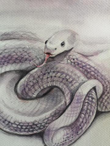 kathy老師（怡茹） - 