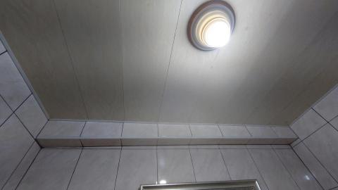 kevin - 除霉完成！