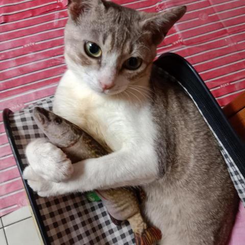 提供xfbody忠孝服務的專家劉雅雯