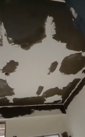 顏志邦-花蓮油漆/防水工程 - 鋼筋裸露壁癌整平