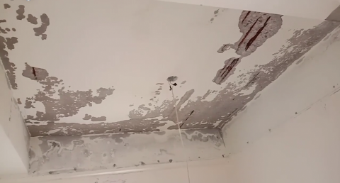 顏志邦-花蓮油漆/防水工程 - 鋼筋裸露,壁癌刮除