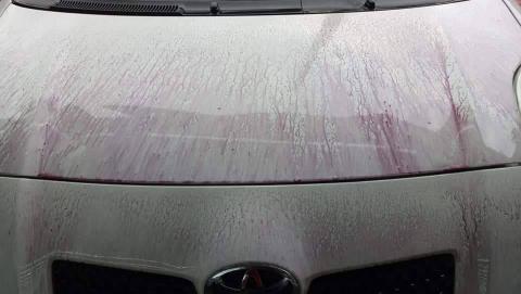 龍貓先生私人專業汽車美容 - 