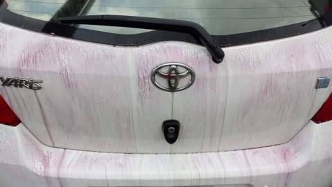 龍貓先生私人專業汽車美容 - 