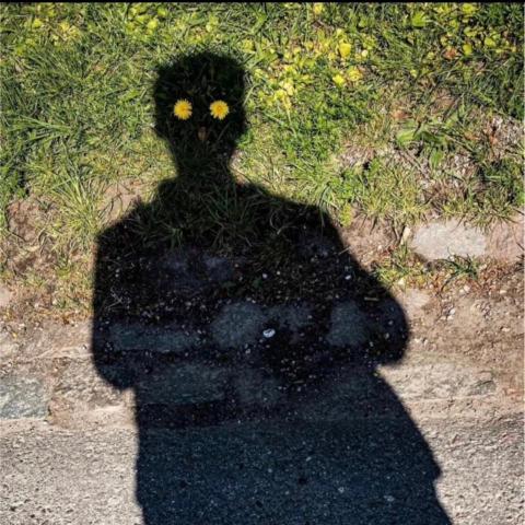 提供247月費服務的專家張哲偉