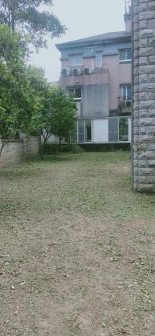 新竹除草，新竹鋸樹，園藝服務 - 