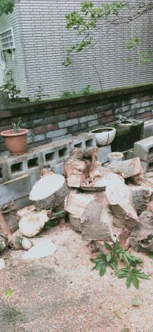 新竹除草，新竹鋸樹，園藝服務 - 