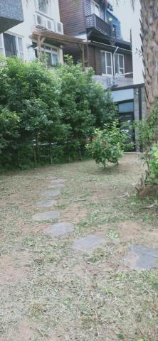 新竹除草，新竹鋸樹，園藝服務 - 