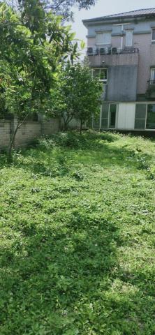 新竹除草，新竹鋸樹，園藝服務 - 