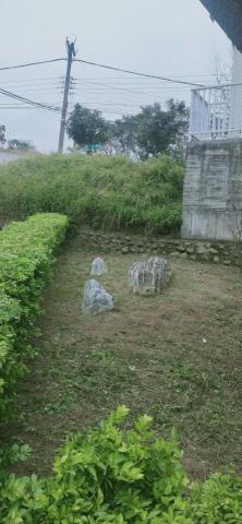 新竹除草，新竹鋸樹，園藝服務 - 