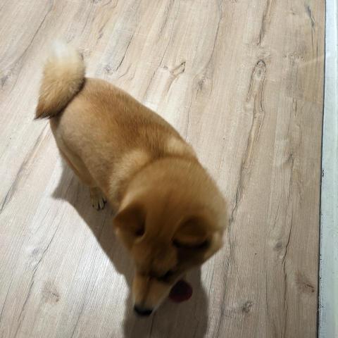 提供住宿服務的專家林家騫