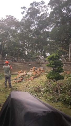 新竹除草，新竹鋸樹，園藝服務 - 