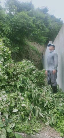 新竹除草，新竹鋸樹，園藝服務 - 