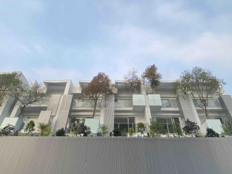 佑聖園藝 - 陽台綠化