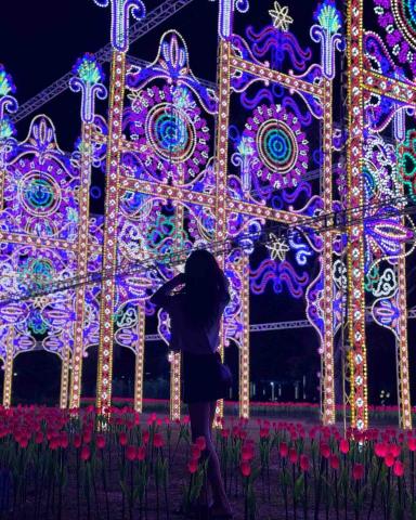 c.yan - 2023縣民公園燈會