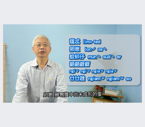 堂朝影藝2D動畫+影片製作 -  堂朝影藝2D動畫+影片製作 -
