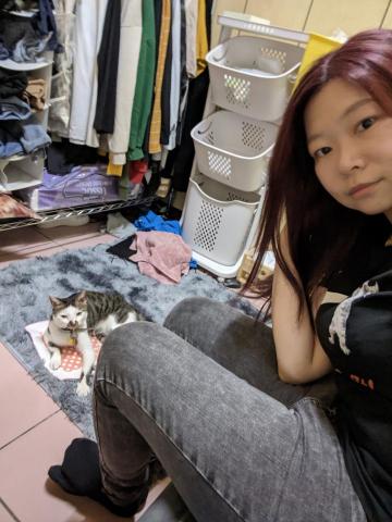 斯東貓英文 - 寵物保姆&mdash;貓