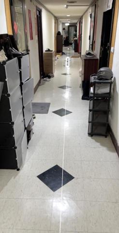 捷豹搬家 - 步行距離❤️