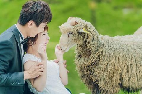 鏡   攝影工作室 - 