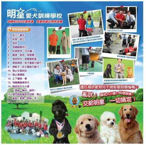 明星愛犬訓練學校 -  明星愛犬訓練學校 -