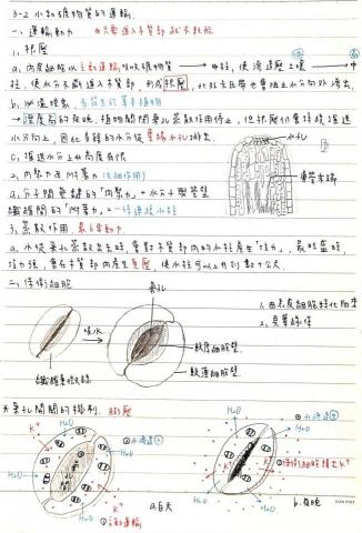 蔡佩臻 - 高中生物筆記-植物運輸