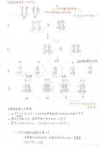 蔡佩臻 - 高中生物筆記-遺傳