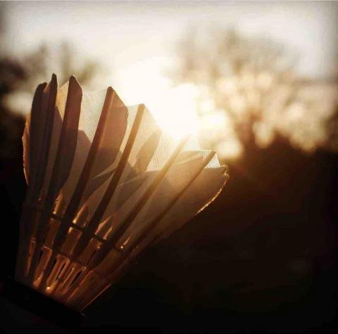 周董 - 讓羽球融入生活，成為第二生命