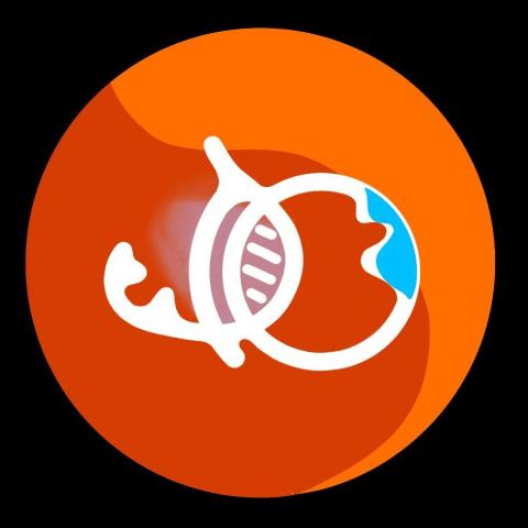 提供多少錢西文服務的專家楊季湄