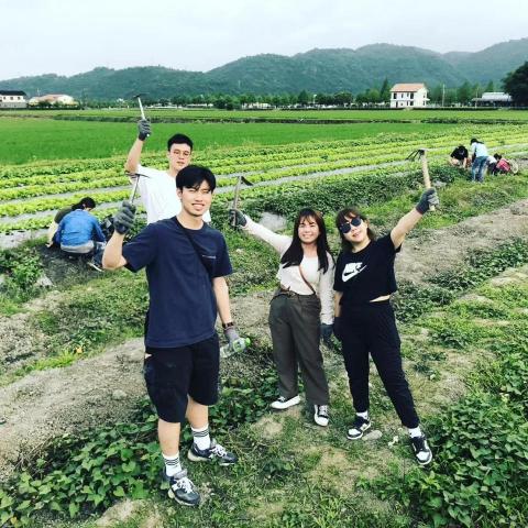 臺灣好好玩Taiwan fun  - 挖呀挖呀挖地瓜?